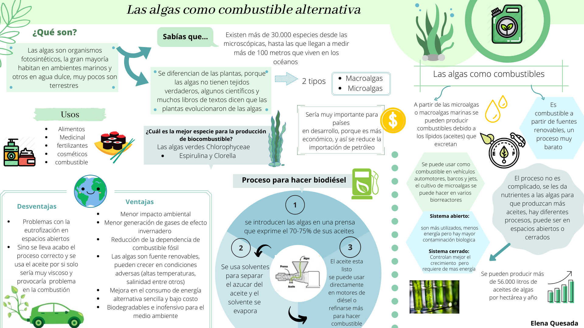 Infografía acerca de las algas como combustible. Mira la imagen para aprender más sobre este tema tan importante