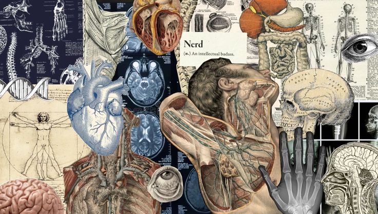 Buenas! Vengo a decir que tengo cientos de apuntes de todo el curso, que por motivos de tiempo y longitud de estos, no he subido todos; mi idea es ir poco a poco, pero si a alguien le urgen de alguna asignatura/tema en específico, mandarme DM y los subo cuanto antes!