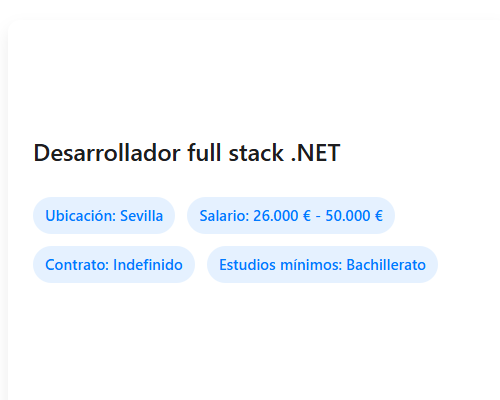 Desarrollador full stack .NET
