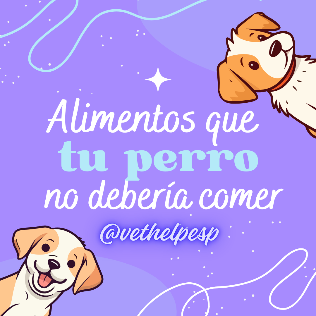 Todo el mundo a seguir a mi amigo @vethelpesp en Instagram!!!
Publicaciones del mundo de la veterinaria que os resultarán muy útiles ;)