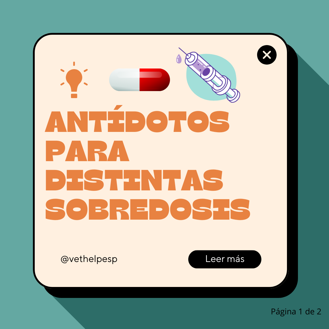 Todo el mundo a seguir a mi amigo @vethelpesp en Instagram!!!
Publicaciones del mundo de la veterinaria que os resultarán muy útiles ;)