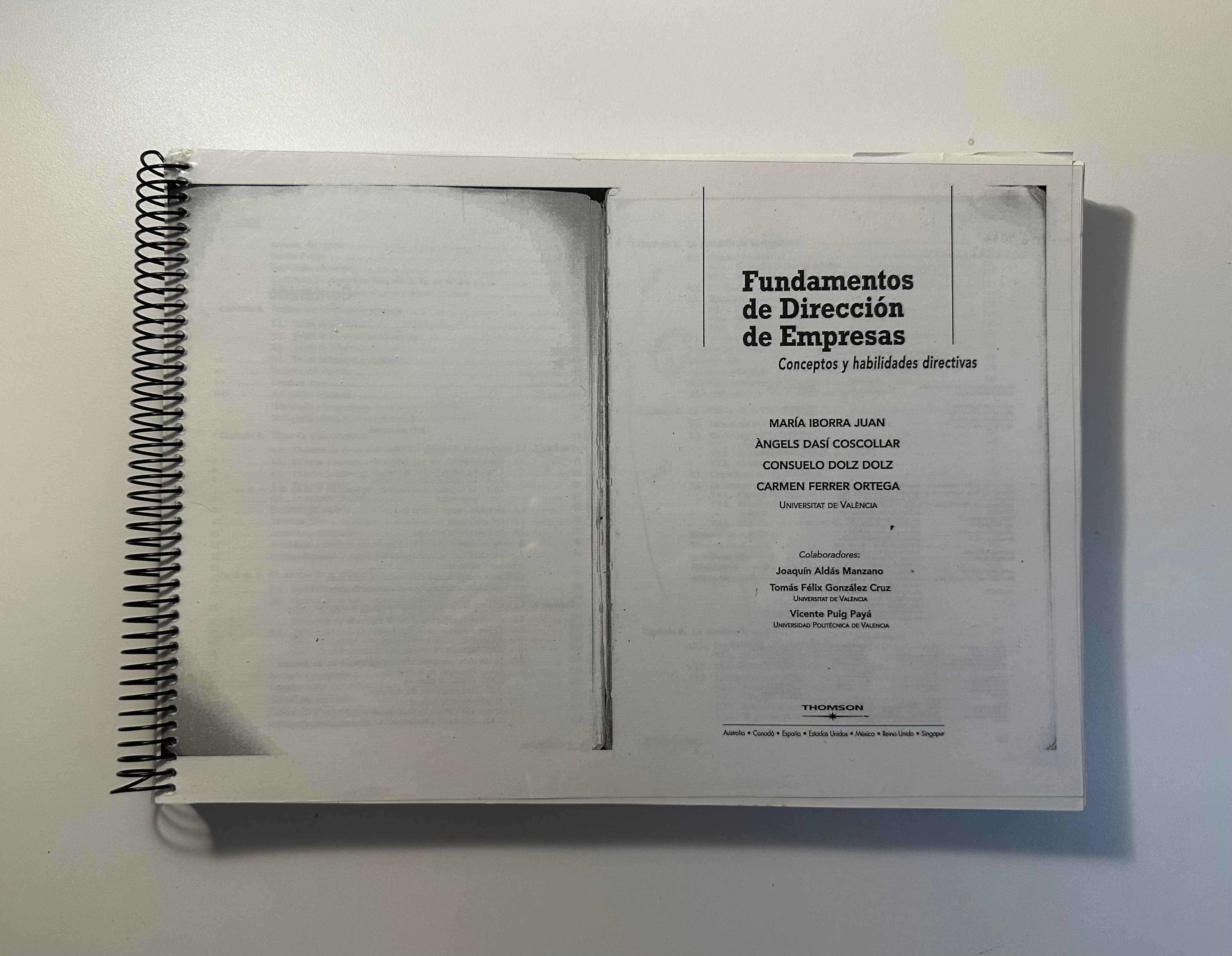Vendo manual FUNDAMENTOS DE DIRECCIÓN DE EMPRESAS : conceptos y habilidades directivas