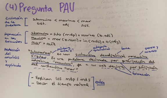 MORFOLOGÍA EN MI PERFIL!