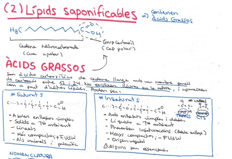 Apuntes de Biología en mi perfil