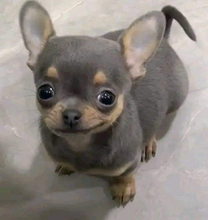 Hola! estoy intentando encontrar a personas que este año cursen el Master de Planificacion y gestion del turismo en Jaén. Solo me da la opcion de entrar en esta comunidad, pero por si casualidad conocierais a alguien que cursa ese master este año 25/26, contactadme. Gracias!