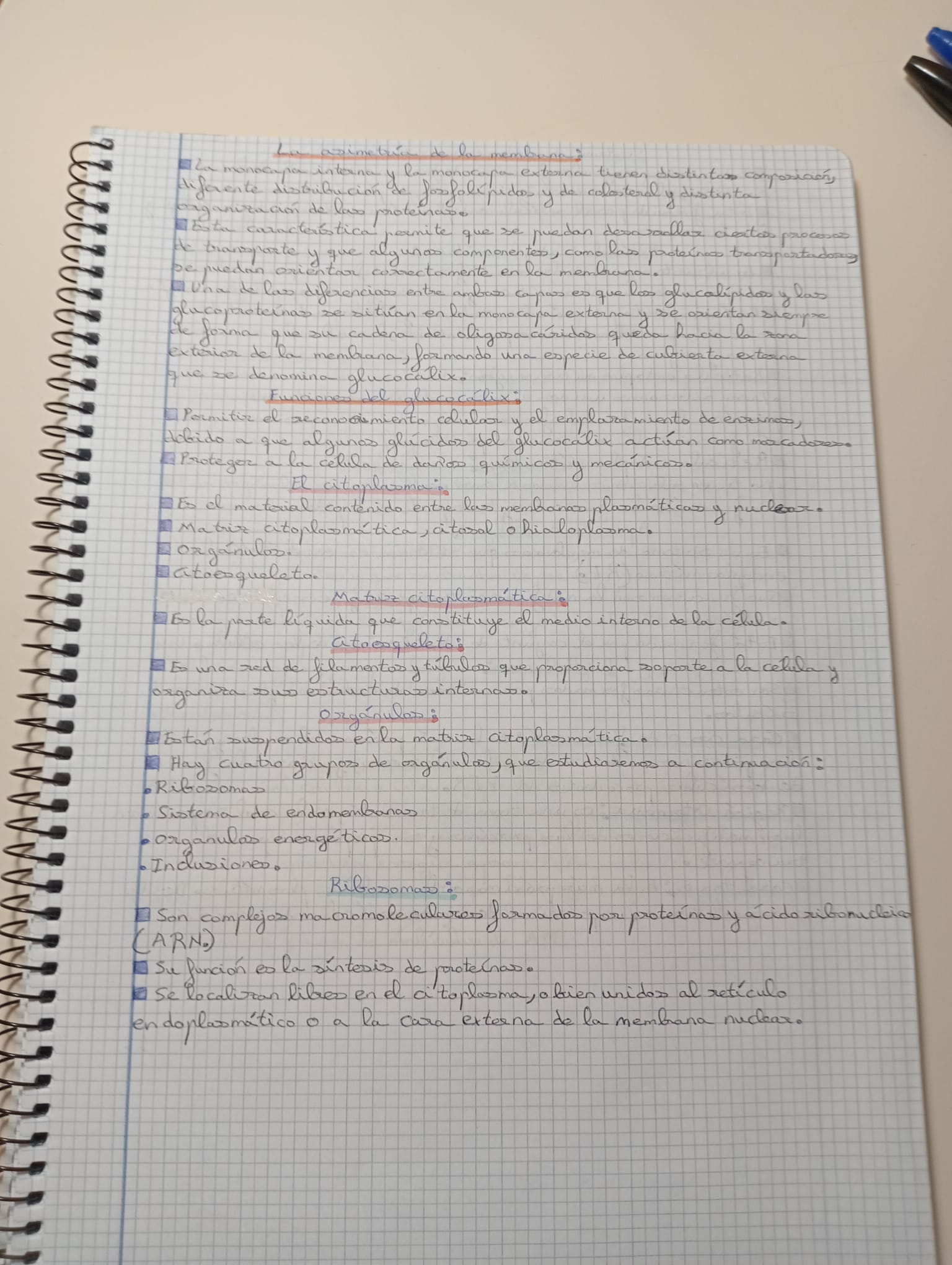 Tema 1 y 2 Organización del cuerpo humano Fisiopatología General