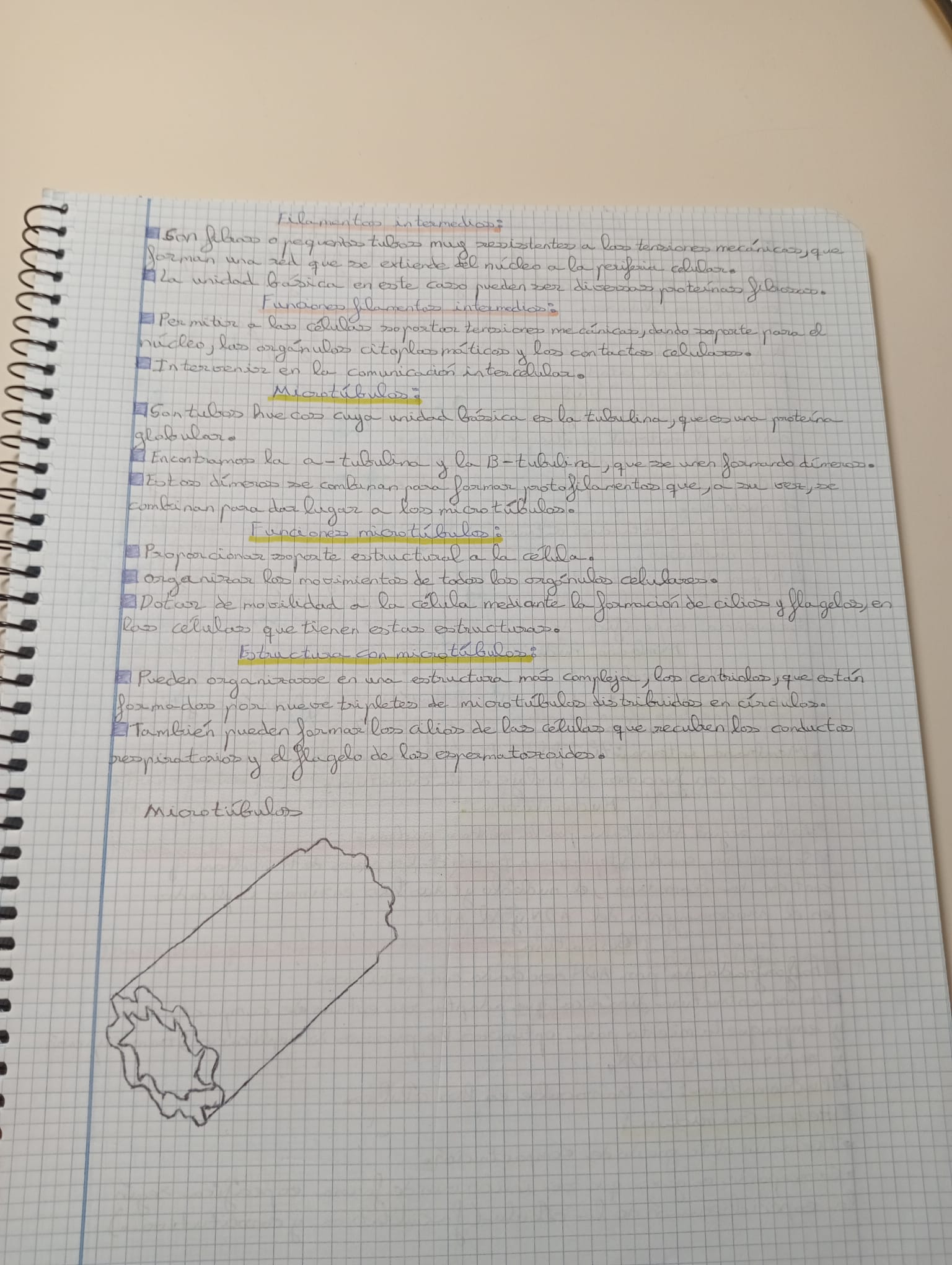 Tema 1 y 2 Organización del cuerpo humano Fisiopatología General