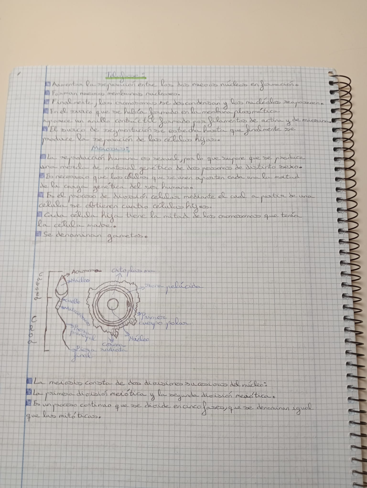 Tema 1 y 2 Organización del cuerpo humano Fisiopatología General