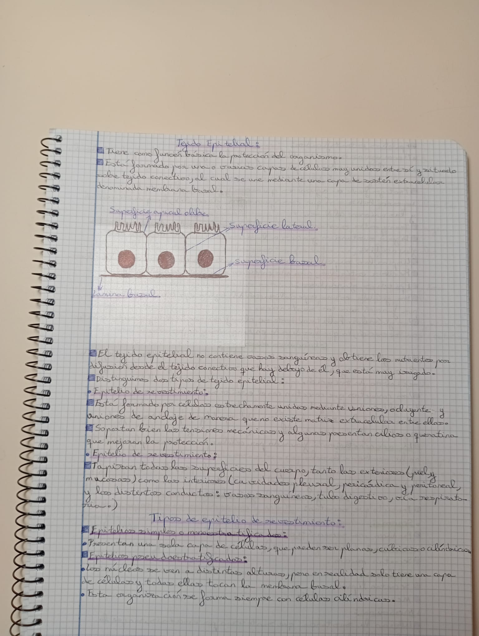 Tema 1 y 2 Organización del cuerpo humano Fisiopatología General