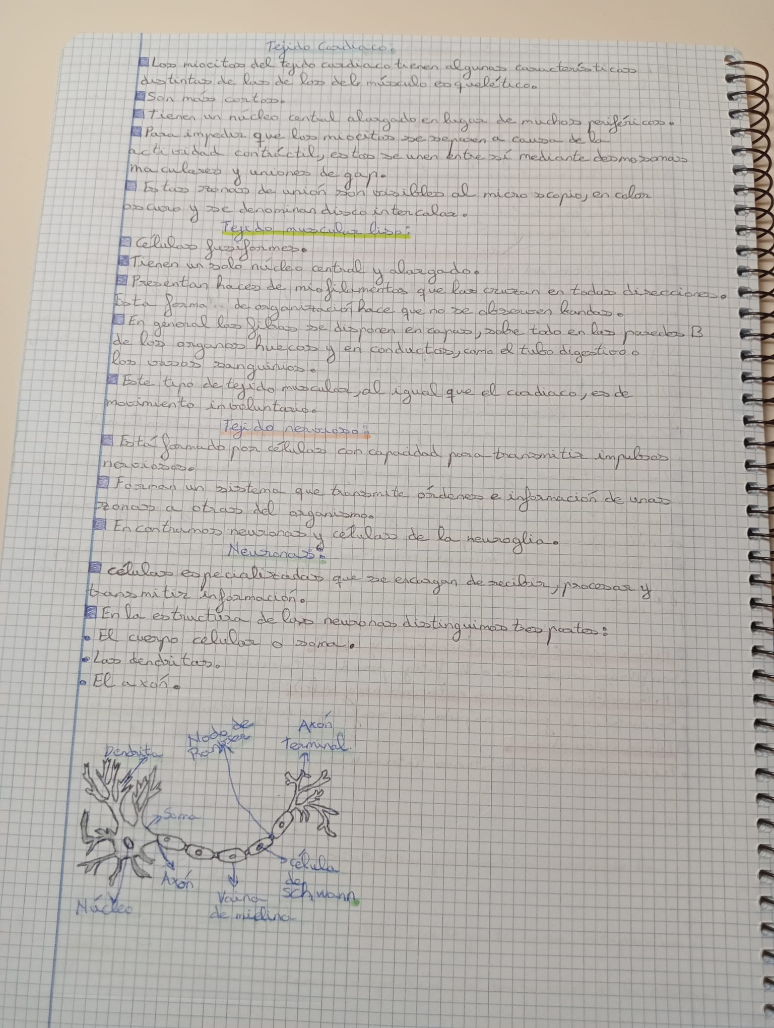 Tema 1 y 2 Organización del cuerpo humano Fisiopatología General