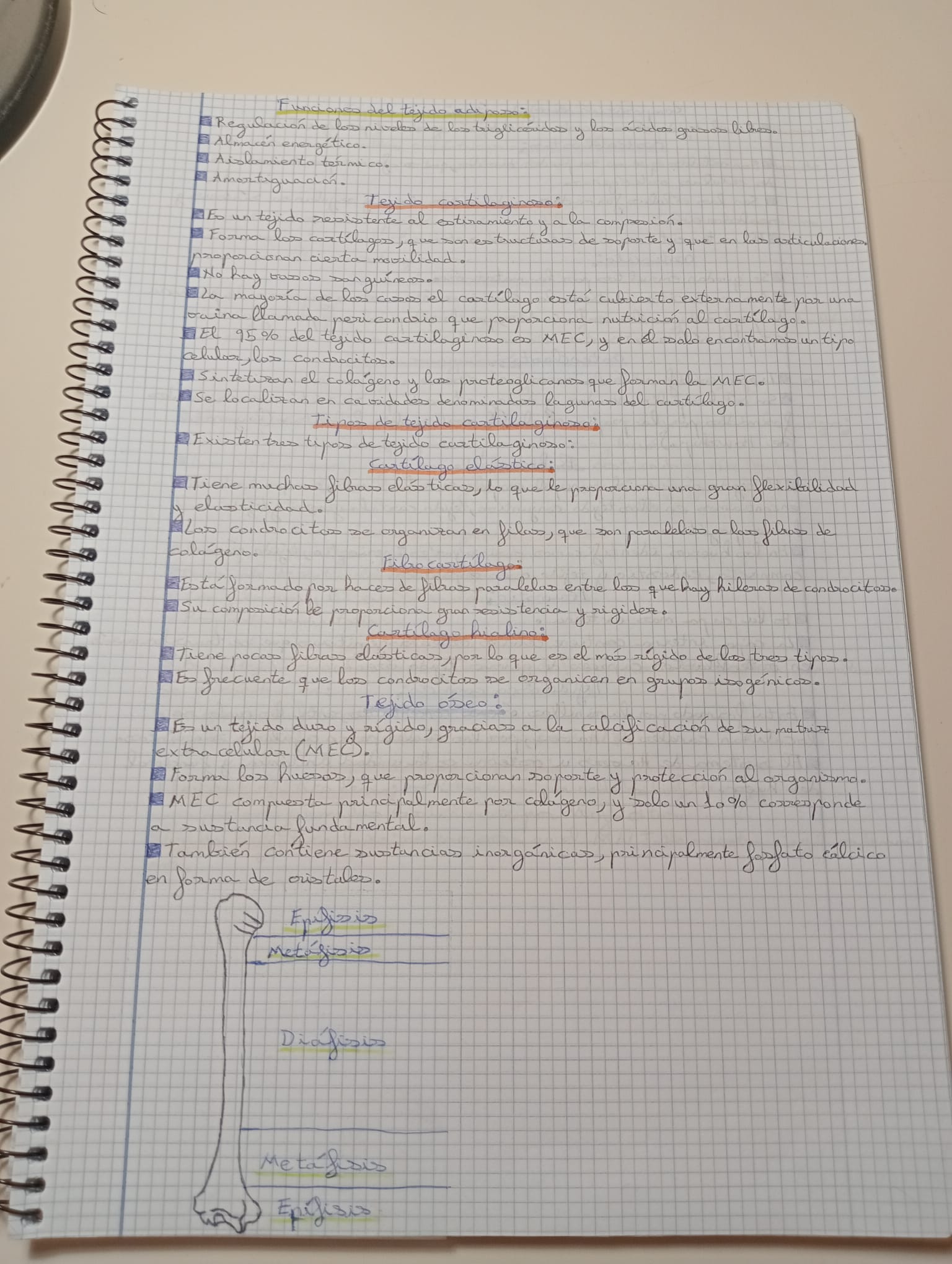 Tema 1 y 2 Organización del cuerpo humano Fisiopatología General