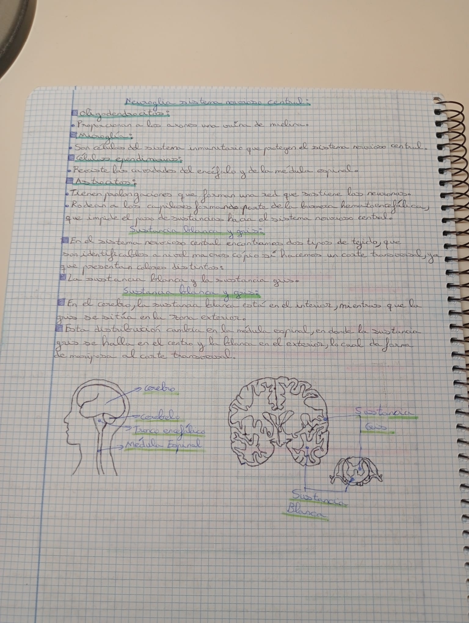 Tema 1 y 2 Organización del cuerpo humano Fisiopatología General