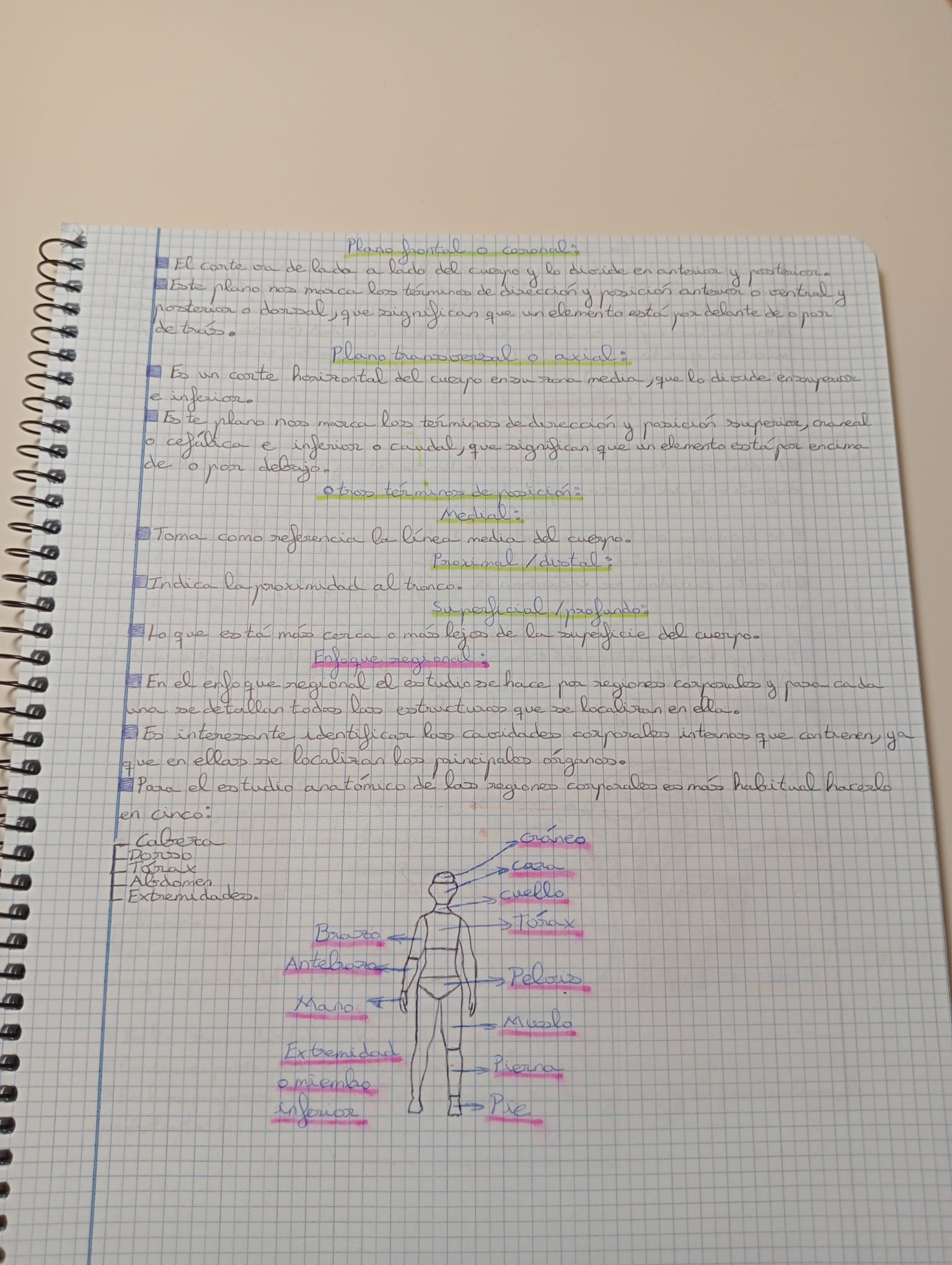 Tema 1 y 2 Organización del cuerpo humano Fisiopatología General