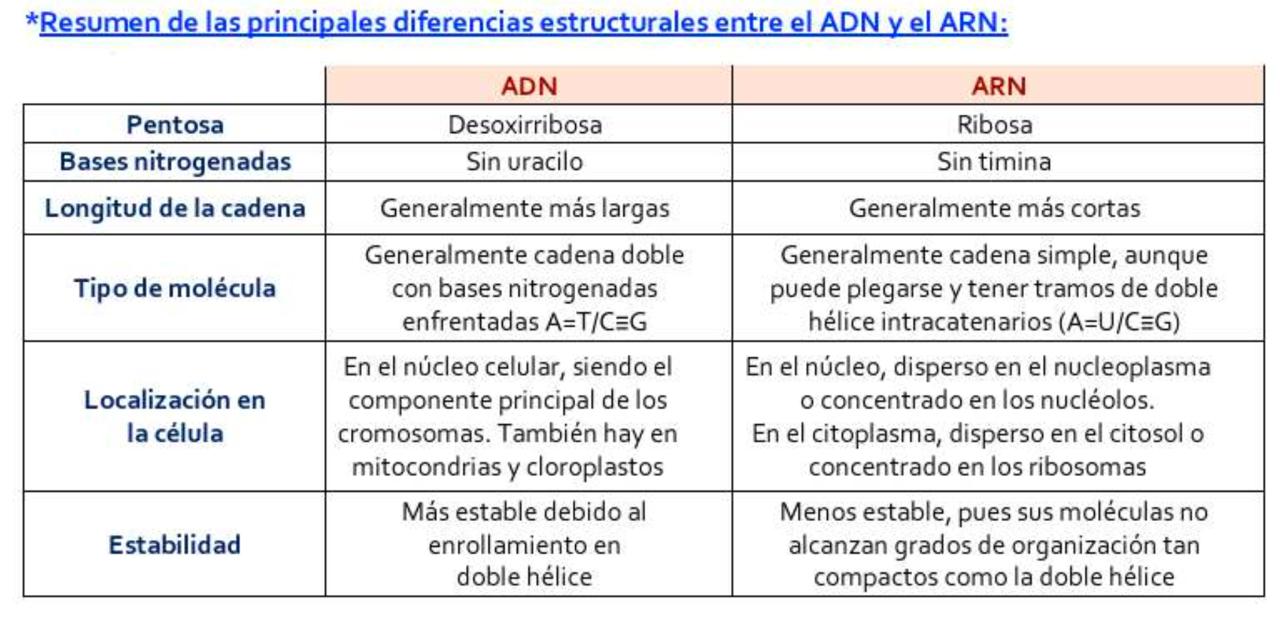 Diferencias entre ADN y ARN.