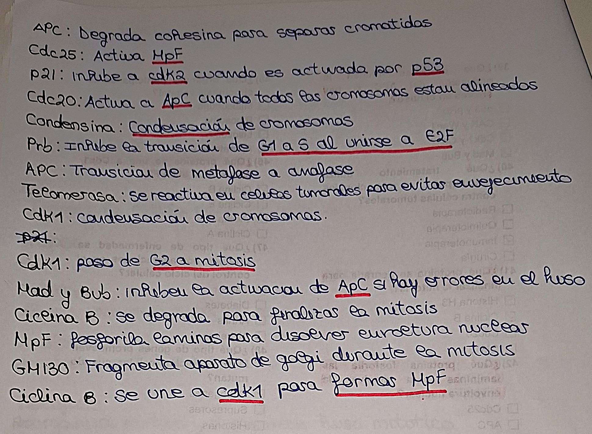 Proteinas que regulan el ciclo celular y sus funciones
