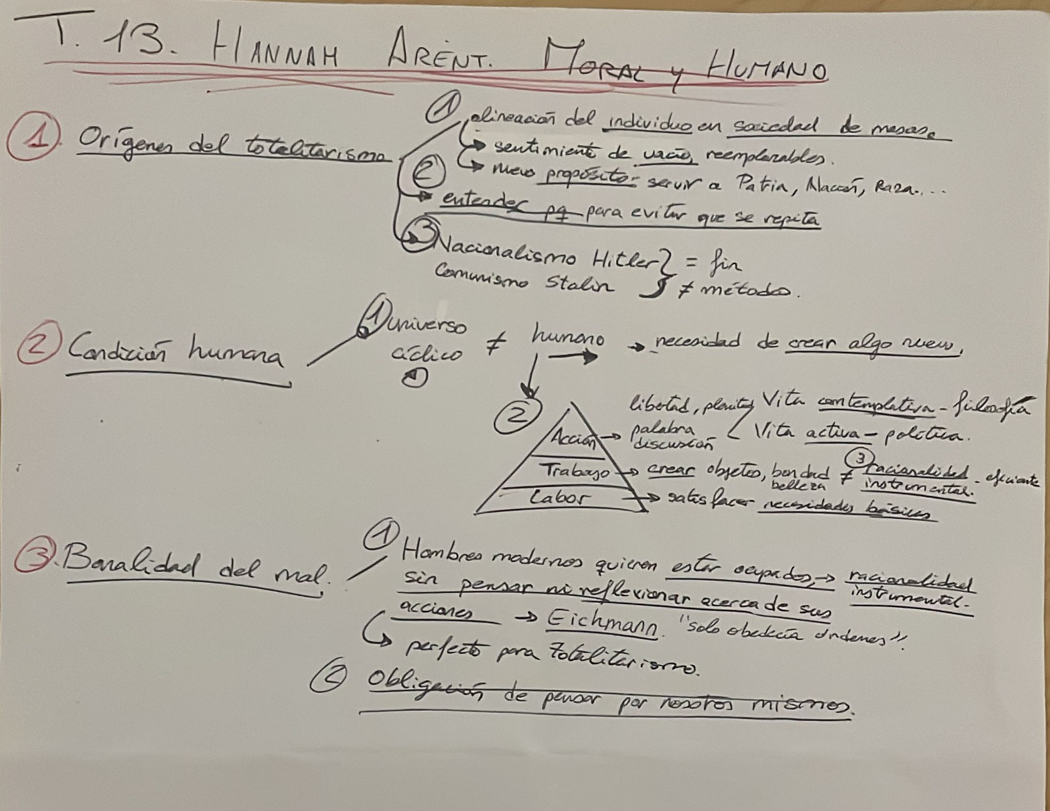 Esquema Hannah Arent - Humano, Política