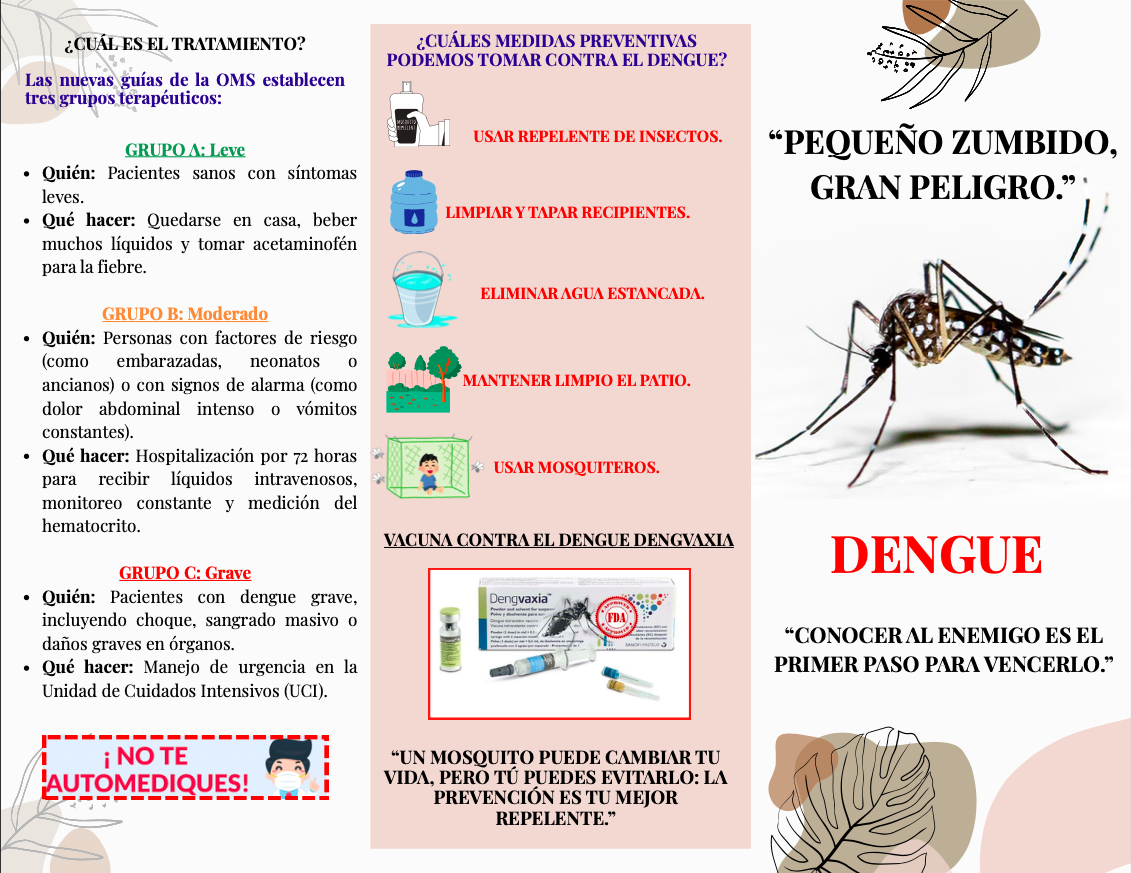 Brochure informativo sobre el dengue