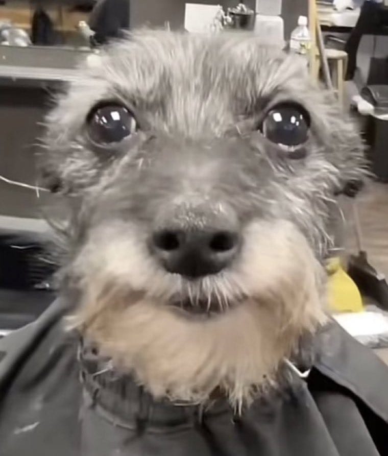 Apuntes mecánica estadística