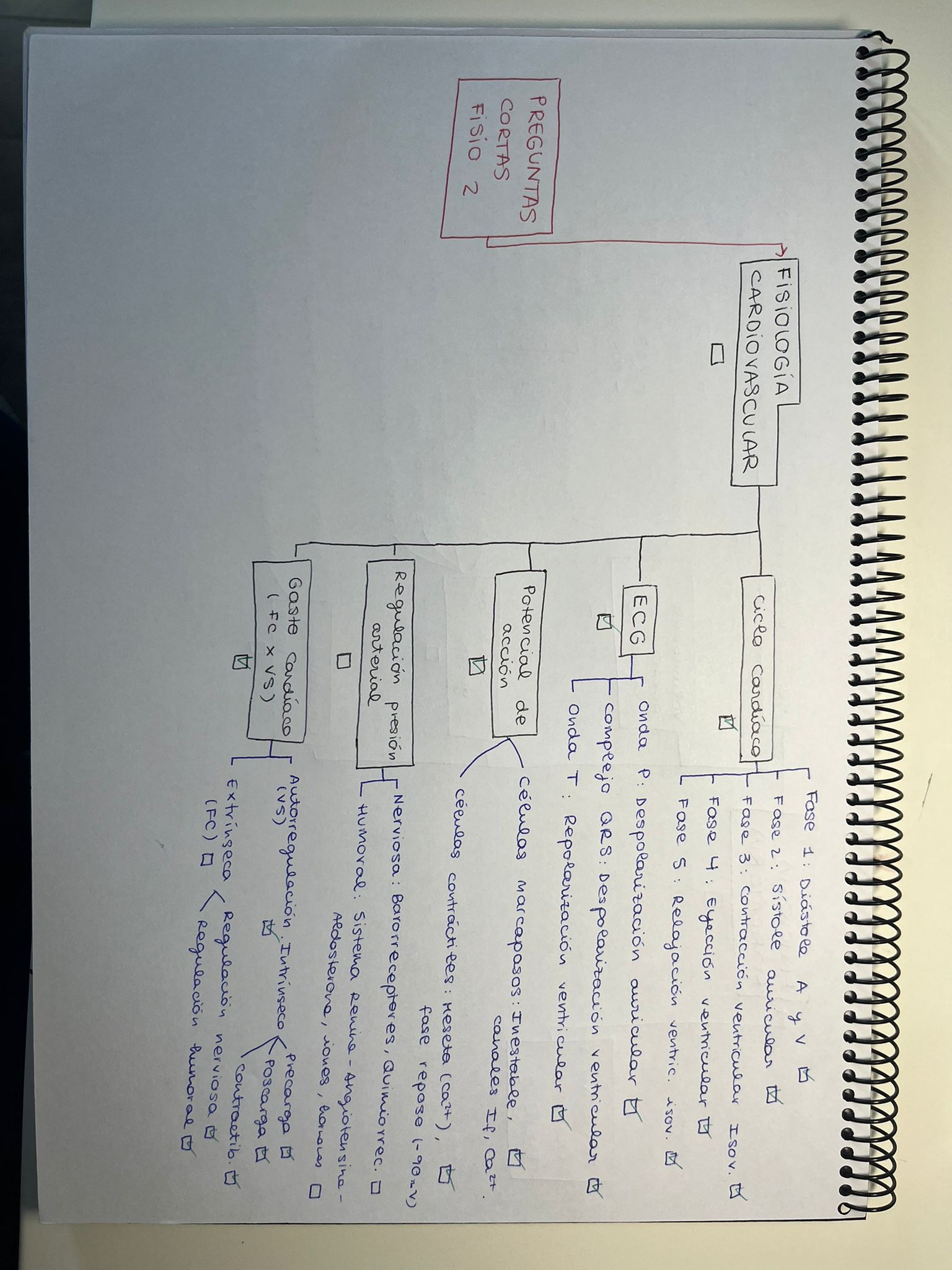 ESQUEMA PREGUNTAS CORTAS PARCIAL 2 