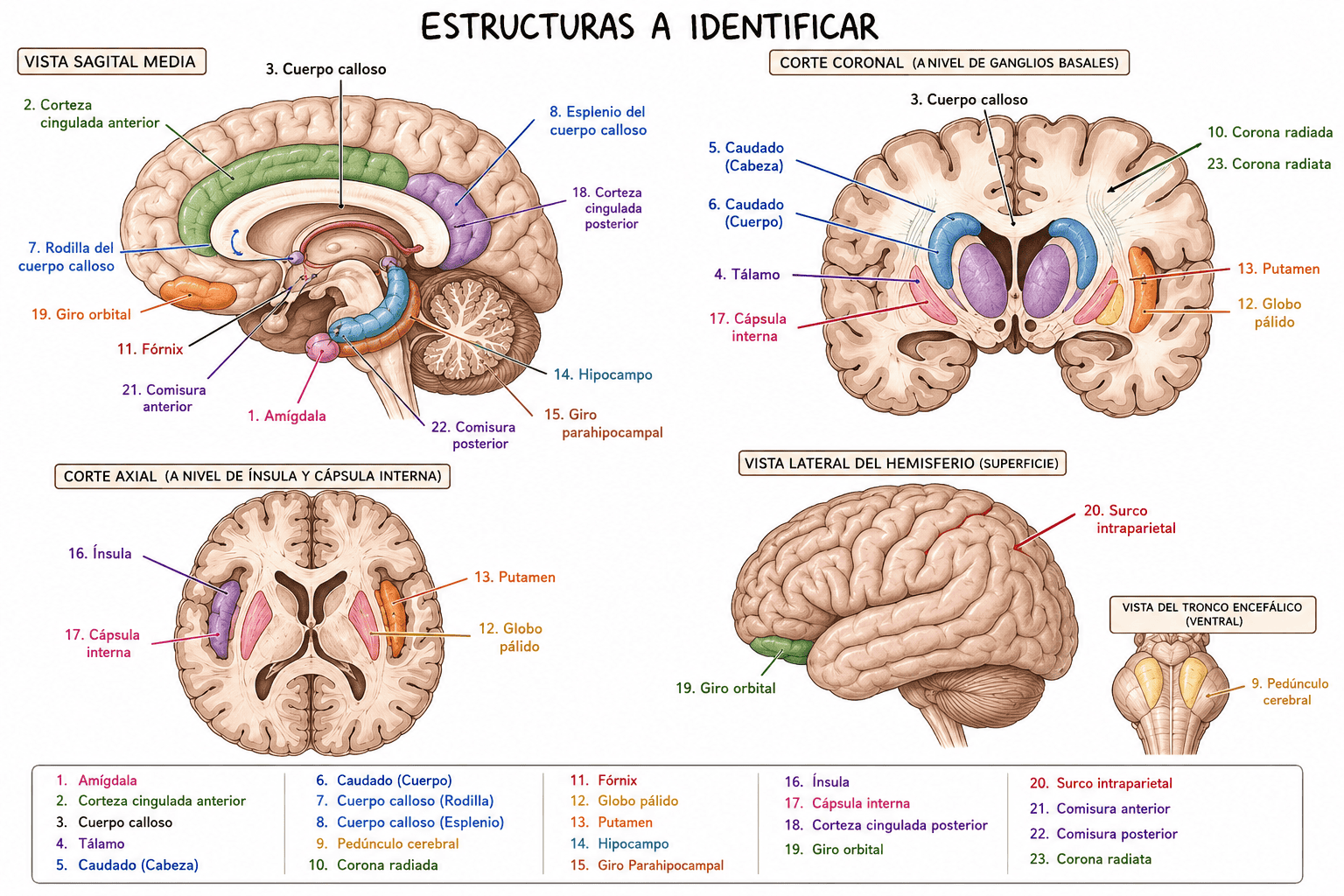 23 ESTRUCTURAS