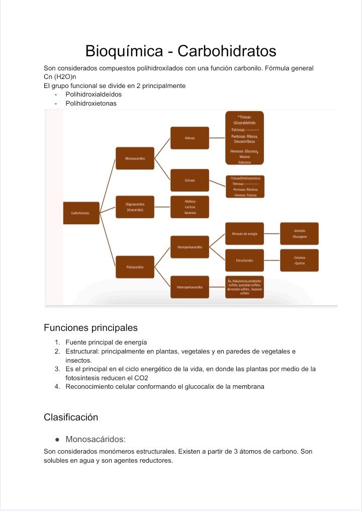 Nuevos documentos publicados en la carpeta de Bioquímica, disponible en mi perfil!! 📁📥