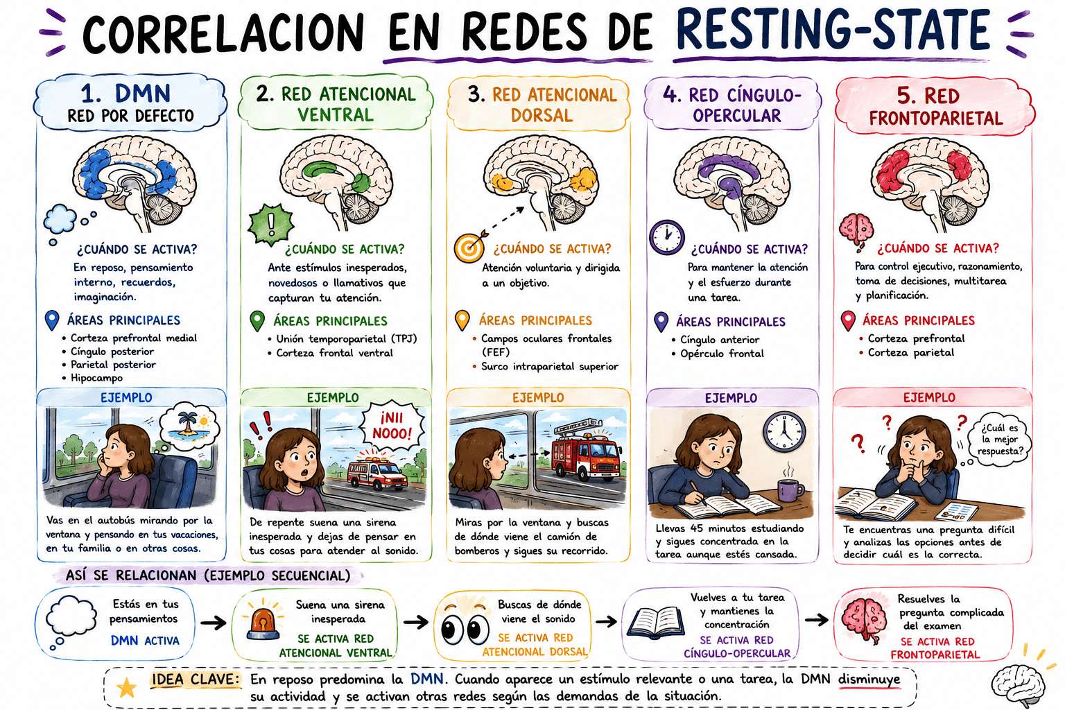 Tema 3: Correlación en redes de RESTING-STATE