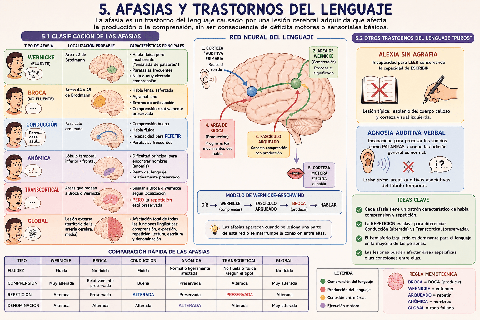 Tema 5: Afasias y Tnos del Lenguaje