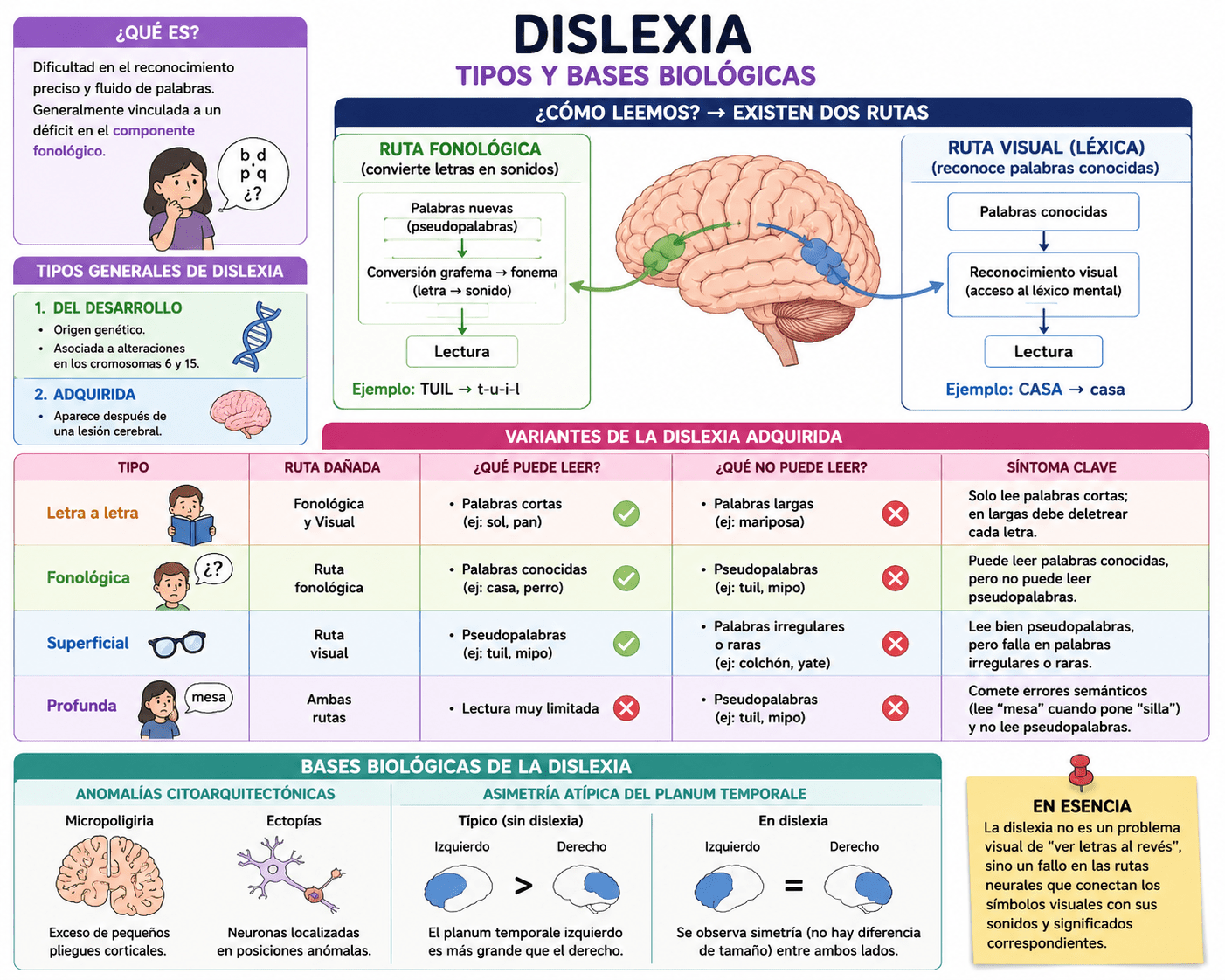 Tema 5: Dislexia
