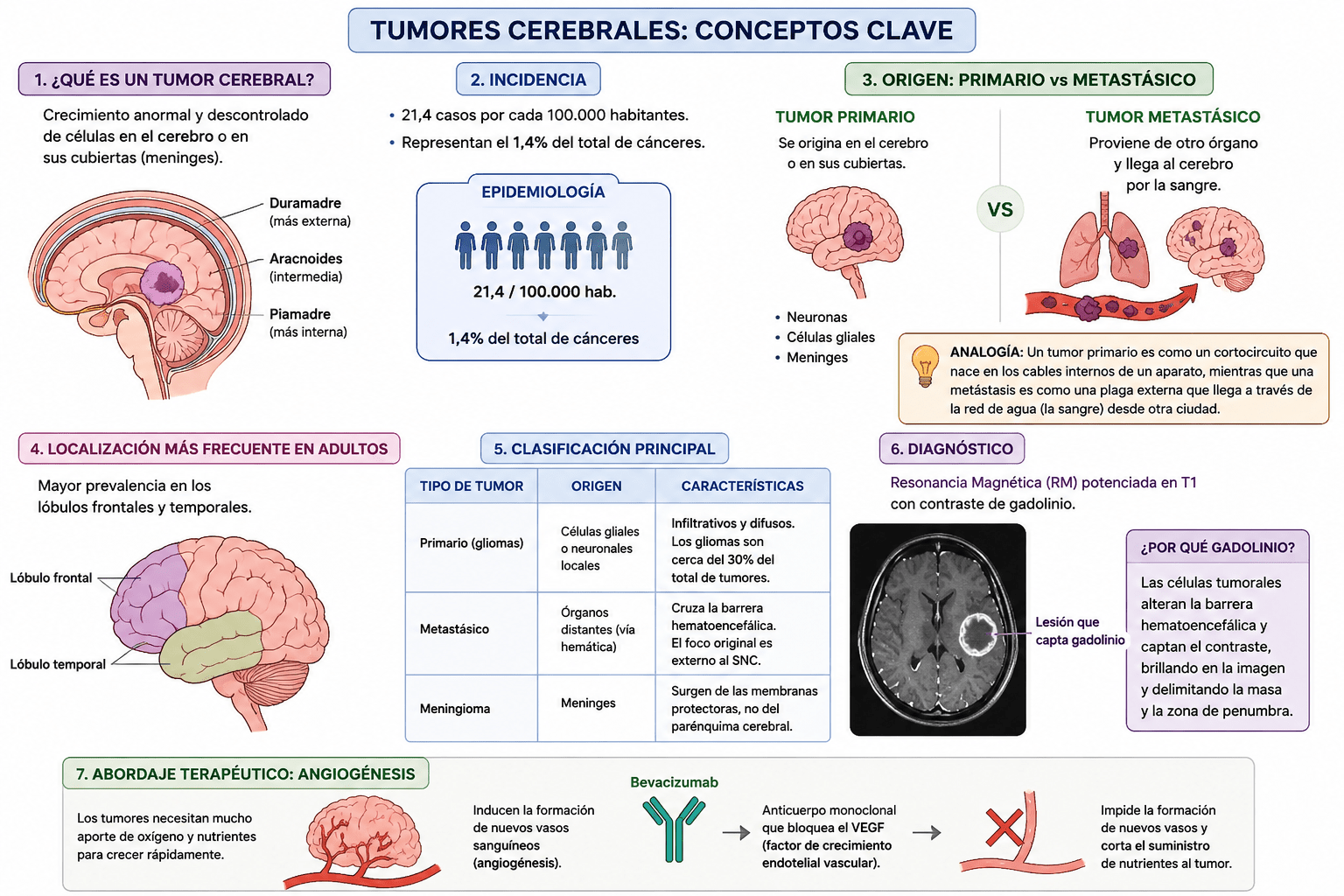 Tumores Cerebrales: Gliomas y Metástasis