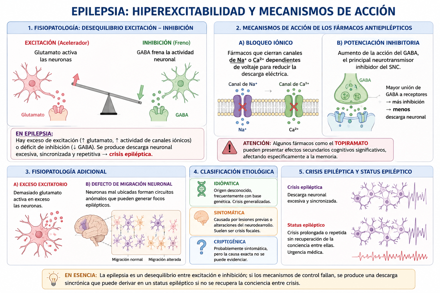 Tema 6: Epilepsia