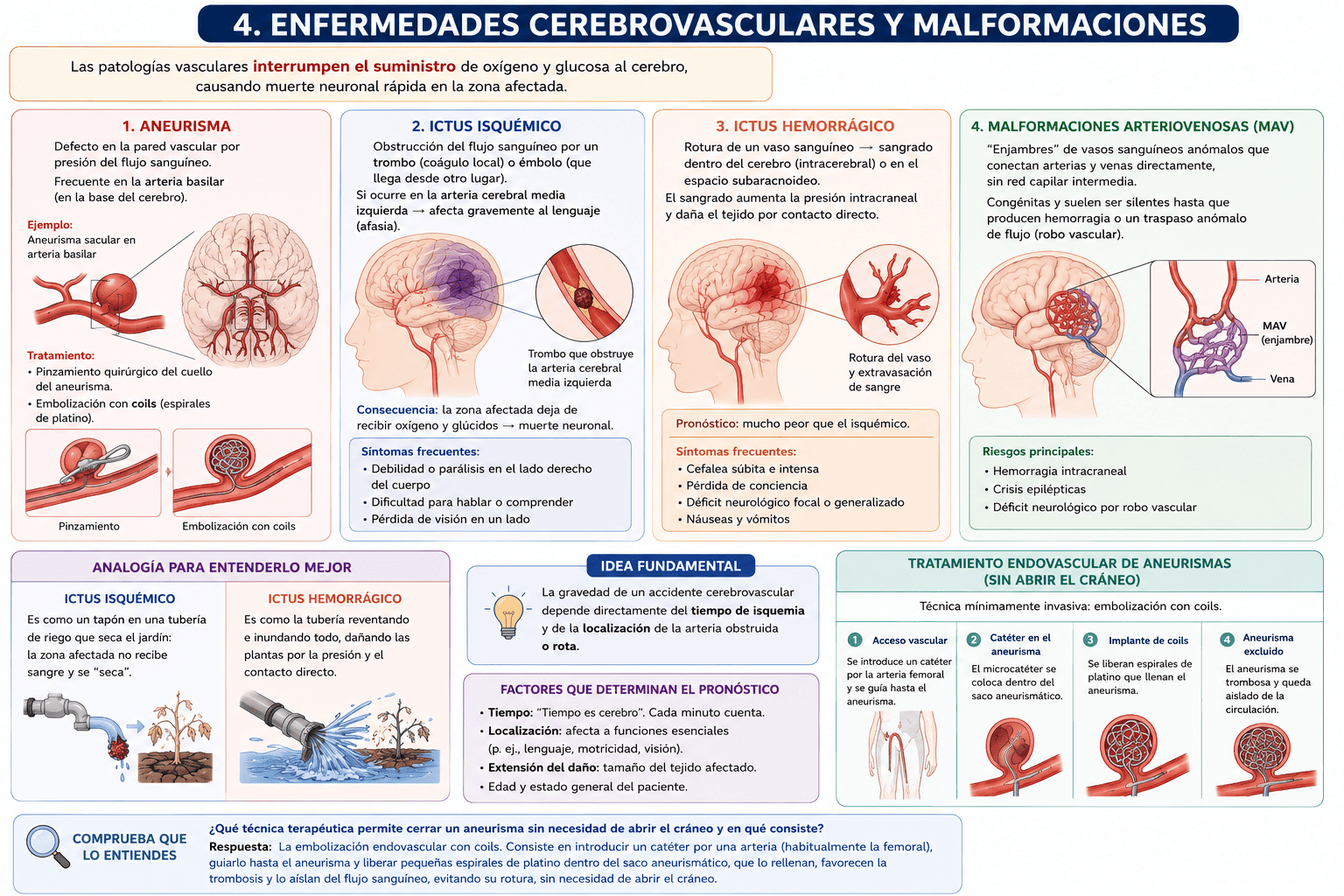 Tema 6: Enfermedades cerebrovasculares y malformaciones