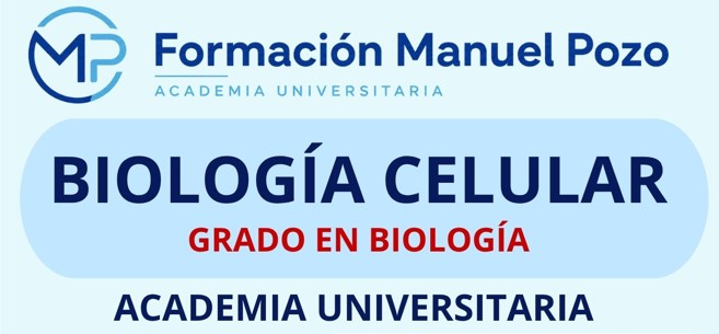 PRÓXIMO INICIO DE CURSO
ACADEMIA UNIVERSITARIA MP
✅Resolución paso a paso de ejercicios y exámenes de convocatorias anteriores al detalle.
✅ Clase de prueba sin compromiso
✅ Modalidad presencial y online
🎥 Todas las clases quedan grabadas con acceso a plataforma para convocatoria ordinaria y extraordinaria
👨🏫 Además, tendrás a tu profesor a tu disposición para resolver dudas y ayudarte durante el curso.
🤖 IA INTEGRADA EN NUESTRA PLATAFORMA
Pregunta tus dudas sobre el temario y nuestra IA te ayudará a resolverlas, llevándote incluso al momento exacto de la clase grabada donde el profesor explica ese contenido.
📩 Plazas limitadas. Infórmate sin compromiso.