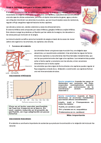 TEMA-4-Sistema-capilar-y-sistema-linfatico.pdf