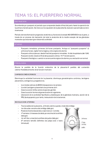 tema-15.1-adulto-II.pdf