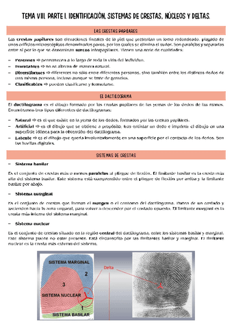 lofoscopia-T8-parte-1.pdf