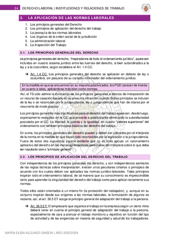 3. LA APLICACIÓN DE LAS NORMAS LABORALES.pdf