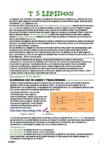 tema-5-lipidos.pdf