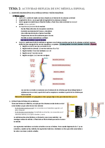 Anatomia-2-T2.pdf