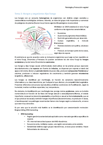 Tema-3-Hongos-y-organismos-tipo-hongo.pdf