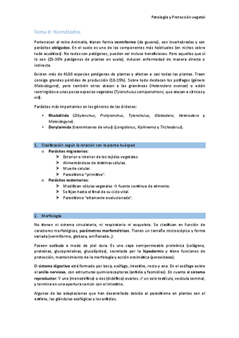 Tema-6-Nematodos.pdf
