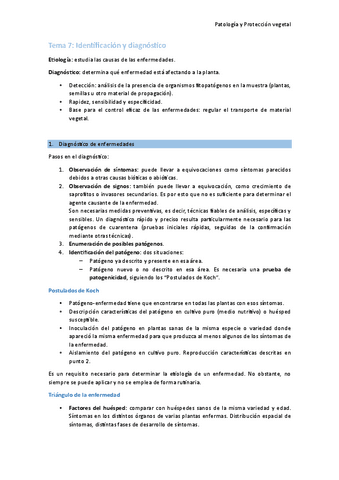 Tema-7-Identificacion-y-diagnostico.pdf