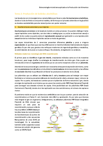 Tema-2-Produccion-de-bebidas-alcoholicas.pdf