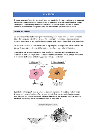 EL-CANCER.pdf