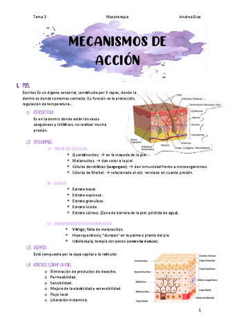 Tema-2-Mecanismos-de-accion.pdf