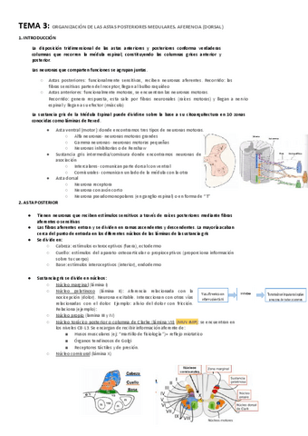 Anatomia-2-t.345.pdf
