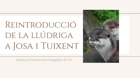 Reintroduccio-de-la-lludriga.pdf