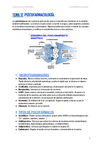 TEMA-17.pdf