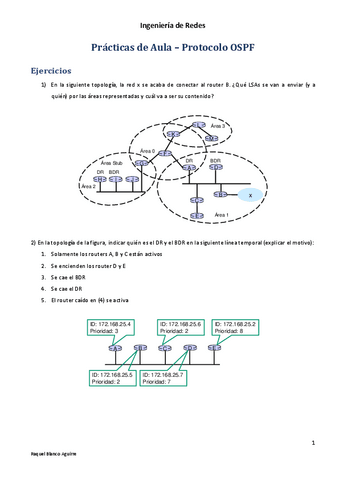 IngRedes-PA3-OSPF-Enunciados.pdf