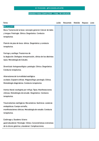 Temario-para-Completar-para-FINAL.pdf