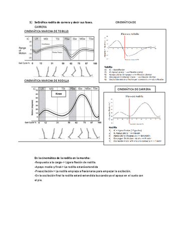 Examen-de-biomecanica-1.pdf
